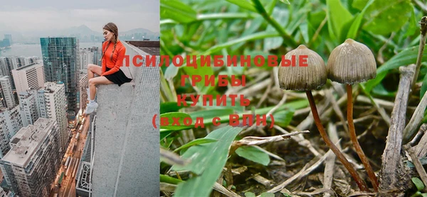 PSILOCYBIN Зеленокумск