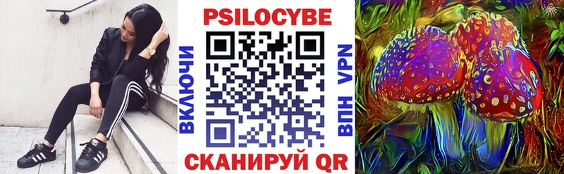Купить  Губаха  Псилоцибиновые грибы MAGIC MUSHROOMS 